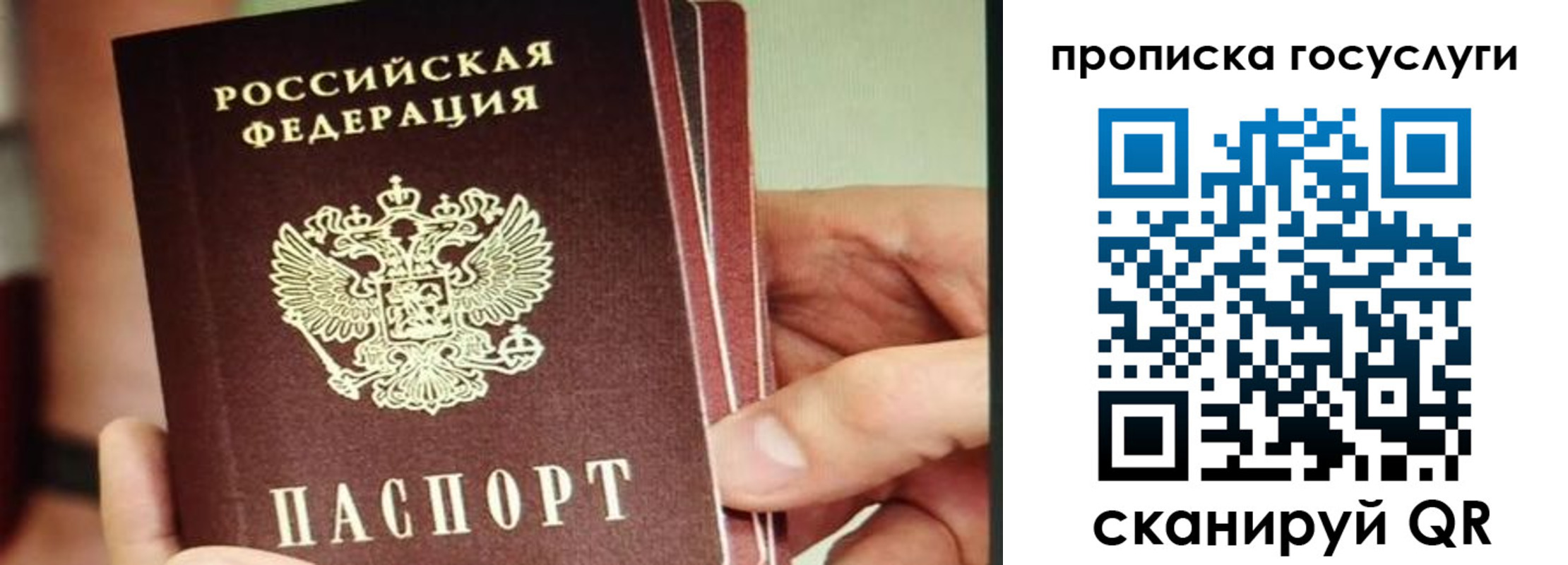 пропишу в квартире в Ногинске